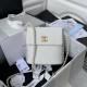 chanel Small Hobo Bag white