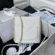 chanel Small Hobo Bag white