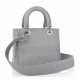 DIOR Canvas Embroidered Cannage Medium Lady D-Lite Gray