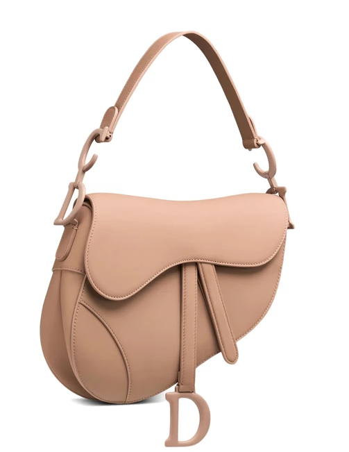 DIOR Saddle medium calfskin bag