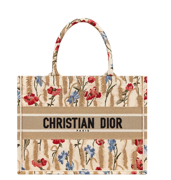 DIOR Small Book Tote