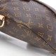 LOUIS VUITTON Monogram Bumbag