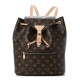 LOUIS VUITTON Monogram Montsouris NM Backpack